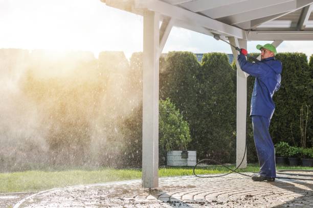 Best Dumpster Area Cleaning  in Hernando, FL
